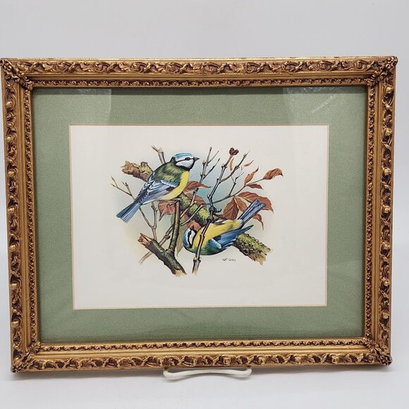 Vintage Framed Bird Illustration by Vortigern Gold Wooden Ornate Frame 13x10" - Picture 1 of 11